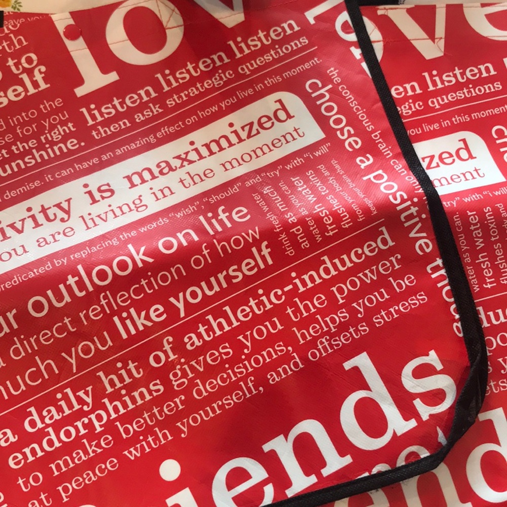 2 Large Lulu Lemon Shopping Bags (Never Used)